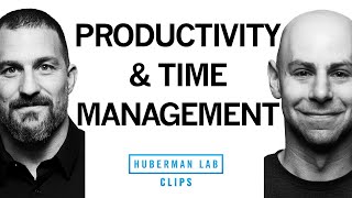 Tools for Better Productivity amp Time Management  Dr Adam Grant amp Dr Andrew Huberman [upl. by Aettam76]