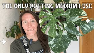 The Only Potting Medium I Use [upl. by Ralaigh625]