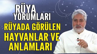 Rüyada görülen hayvanlar ve anlamları Mehmet Emin Kırgil rüya yorumları [upl. by Voltmer31]