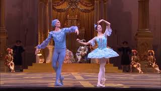 Sleeping Beauty Bolshoi 2017 Blue Bird [upl. by Killion]