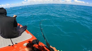 E TANTO PEIXE NUNCA VI UMA CENA DESSA NA VIDA CARDUME DE PEIXE ACAMPAMENTO NA ILHA [upl. by Asatan]