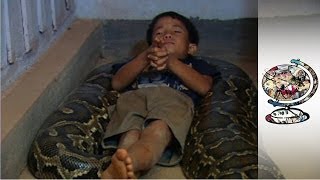 The Cambodian Boy Who Sleeps with a Python [upl. by Malinda]