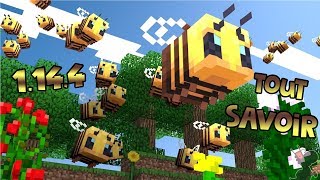 Tout savoir sur les abeilles  Minecraft 1144 [upl. by Aniteb]