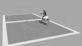 Horse Motion Capture  trot [upl. by Iramat]