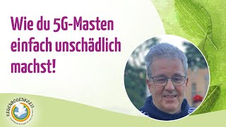 Interview mit Georg Ritschl Wie du 5GMasten einfach unschädlich machst [upl. by Adgam]