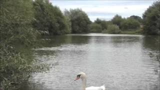 LONGFORD FISHERY LONGFORD ASHBOURNE DERBYSHIRE [upl. by Nirra]