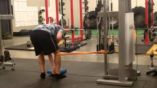 Patellar Tendon RecoveryAdductor Reverse Lunges [upl. by Noimad]