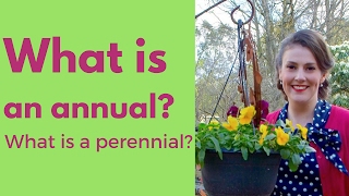 What is an annual plant What is a perennial plant  The Gardenettes [upl. by Nayd]