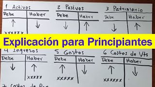 Manejo básico de CUENTAS T Contabilidad básica [upl. by Lasyrc]