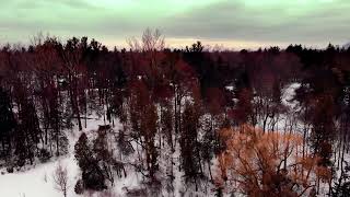 Hiver enchanté  Une ville enneigée après une forêt rousse [upl. by Esidnak]