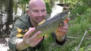 11 April Dry Fly Trout Fishing  River Derwent [upl. by Nahtanha]