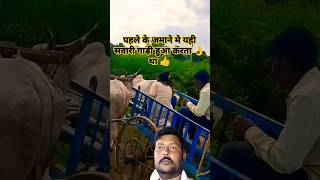 गाँव की सवारी गाड़ी जिसे हम बैल गाड़ी भी बोला करते थे  villagelife farming cow farmer nature [upl. by Nipsirc]