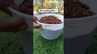 Soil mix for seed germination gardening shorts youtube plantscorner seeds [upl. by Jan844]