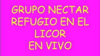 Grupo Nectar  Refugio En El Licor en vivo [upl. by Lillian]