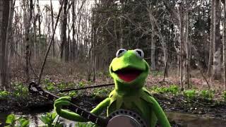 Kermit The Frog Sings Rainbow Connection [upl. by Dodge132]