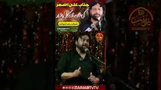 Shaukat Raza Shaukat 2024 mirhasanmir karbala 8rabiulawwal fyp 1million viralshort foryou [upl. by Netsirhc]