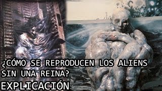 ¿Cómo se Reproducen los Aliens sin una Reina EXPLICACIÓN  El Proceso de Eggmorphing EXPLICADO [upl. by Goda]