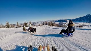 Rodeln im Allgäu  Mittagbahn Immenstadt [upl. by Tonkin466]