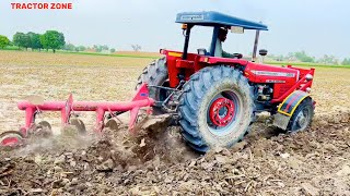 Disck PLO with MF385 4x4wd A very deep walker tractor [upl. by Felecia]