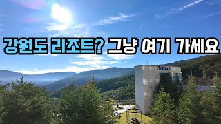 4K 강원도 숙소 추천 I 비대면 체크인 부터 객실 공유주방까지 상세 리뷰 [upl. by Kirschner]