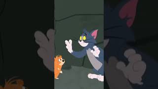 Bear Attack  Tom and Jerry  BoomerangUK  shorts kids cartoons [upl. by Ellison111]