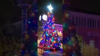 Norwood Christmas Tree Lighting [upl. by Tannenbaum]