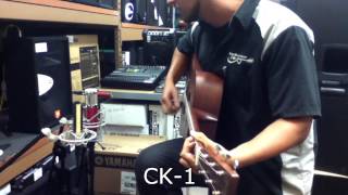 Avantone CR14 CK7 and CK1 Demo [upl. by Chan]