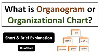 What is Organogram or Organizational Chart [upl. by Filippa]