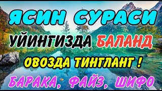 Йаасийн Ёсин сураси Yaasiyn Yosin surasi gozal qiroat Surah Yaseen Ясин [upl. by Glenna]