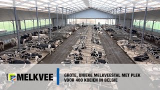 Grote unieke melkveestal met plek voor 400 koeien in Belgie [upl. by Sergei]