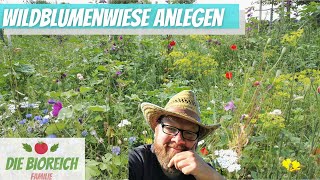 Wildblumenwiese anlegen  so gelingt es [upl. by Nej]