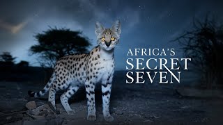 Africa’s Hidden Wildlife Meet the 7 Most Elusive Safari Animals [upl. by Enilrac]