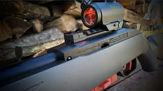 Crosman 1077 quotfreestylequot  Bushnell trs25The most fun you can have in the backyard [upl. by Lamak]