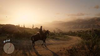 Armadillo  Beauty of Red Dead Redemption 2 [upl. by Warthman]