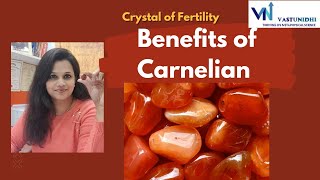 Benefits of Carnelian CrystalCrystal of Courage and Fertility [upl. by Seif935]