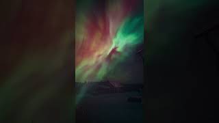 Northern Lights Norrbotten November 8 2024 [upl. by Lore]