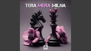 Tera Mera Milna [upl. by Airetak]