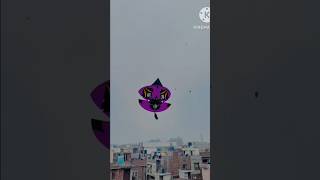 Kite flyingbig kite flyingkite shopping6tawa kites flying kites15August kite flying kite lover [upl. by Leone]