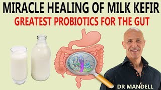 MIRACLE HEALING OF MILK KEFIRGREATEST PROBIOTICS FOR THE GUT  Dr Alan Mandell DC [upl. by Yngad]