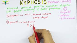 Kyphosis  Medical symptomatology  Types and Causes [upl. by Eisset]