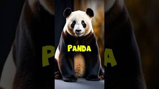 Panda The Ultimate Bamboo Lover shorts panda facts [upl. by Liw787]