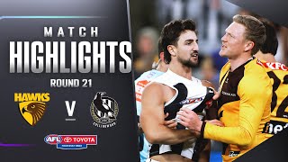 Hawthorn v Collingwood Highlights  Round 21 2023  AFL [upl. by Vareck]