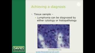 Lymphoma in cats and dogs Which protocol by Shasta Lynch [upl. by Germano]