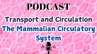 Transport and Circulation The Mammalian Circulatory System [upl. by Weywadt497]