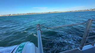 Rottnest Island Episode 4 Welcome to Rottnest Island Western Australia the home of Quokkas [upl. by Andryc618]