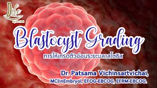 Blastocyst grading การให้เกรดตัวอ่อนระยะบลาสโตซีส [upl. by Akimehs]