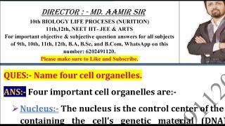 Name four cell organelles [upl. by Atelahs753]