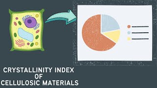 Calculating the crystallinity index CrI of cellulose using Segals Equation [upl. by Aneroc]