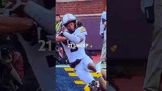 Minn GOLDEN GOPHER with Amazing Catch for TD ncaafootball viralshort shorts [upl. by Doggett126]