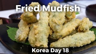 Eating Crispy Mudfish in Namwon South Korea Day 18 [upl. by Nolrah]